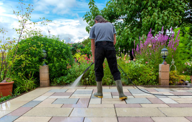 Animal Enclosure Cleaning in Bellport, NY
